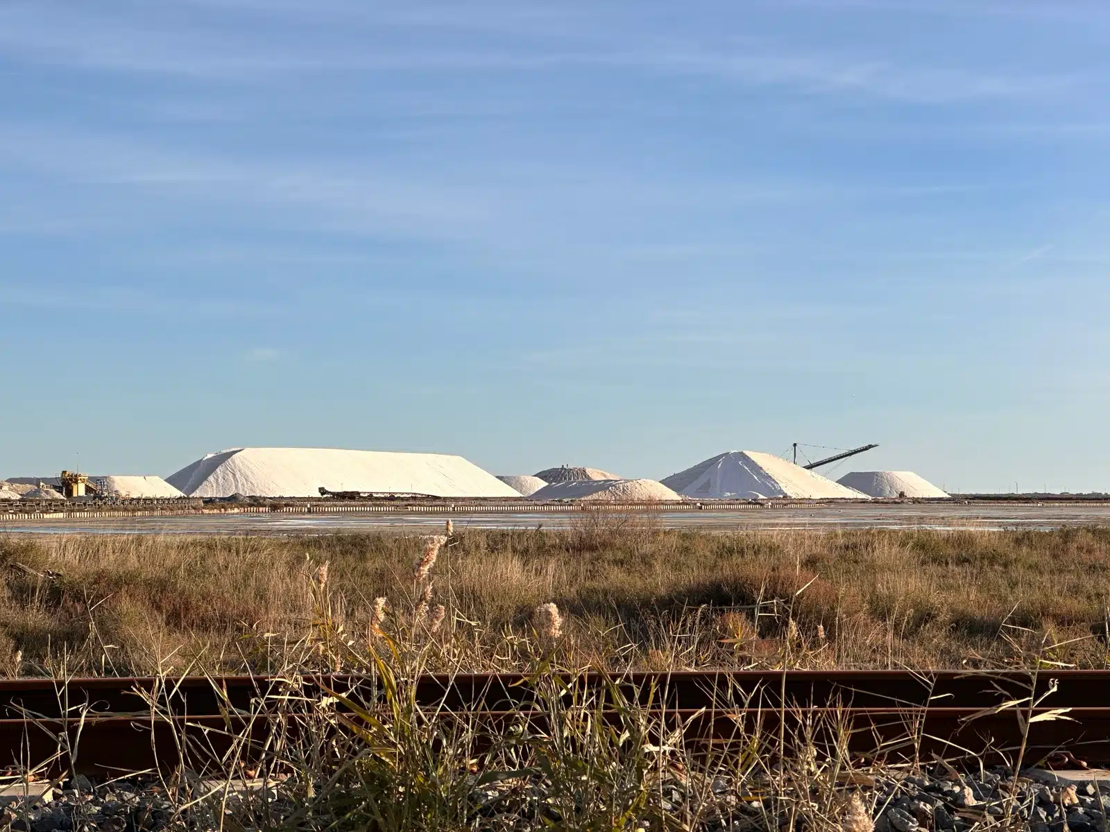 Salt marshes near Aigues-Mortes