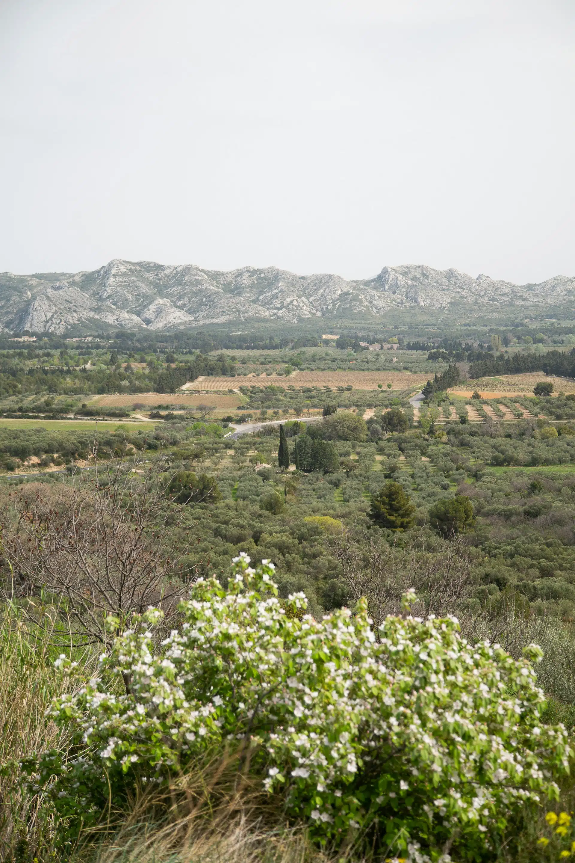 Provence, view 5
