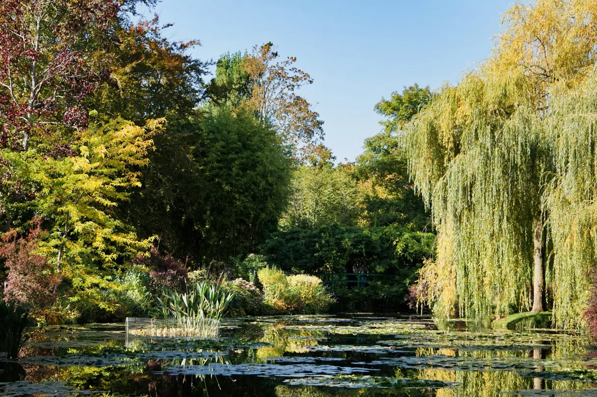 Giverny'deki bahçelerde Monet'nin nilüfer göleti