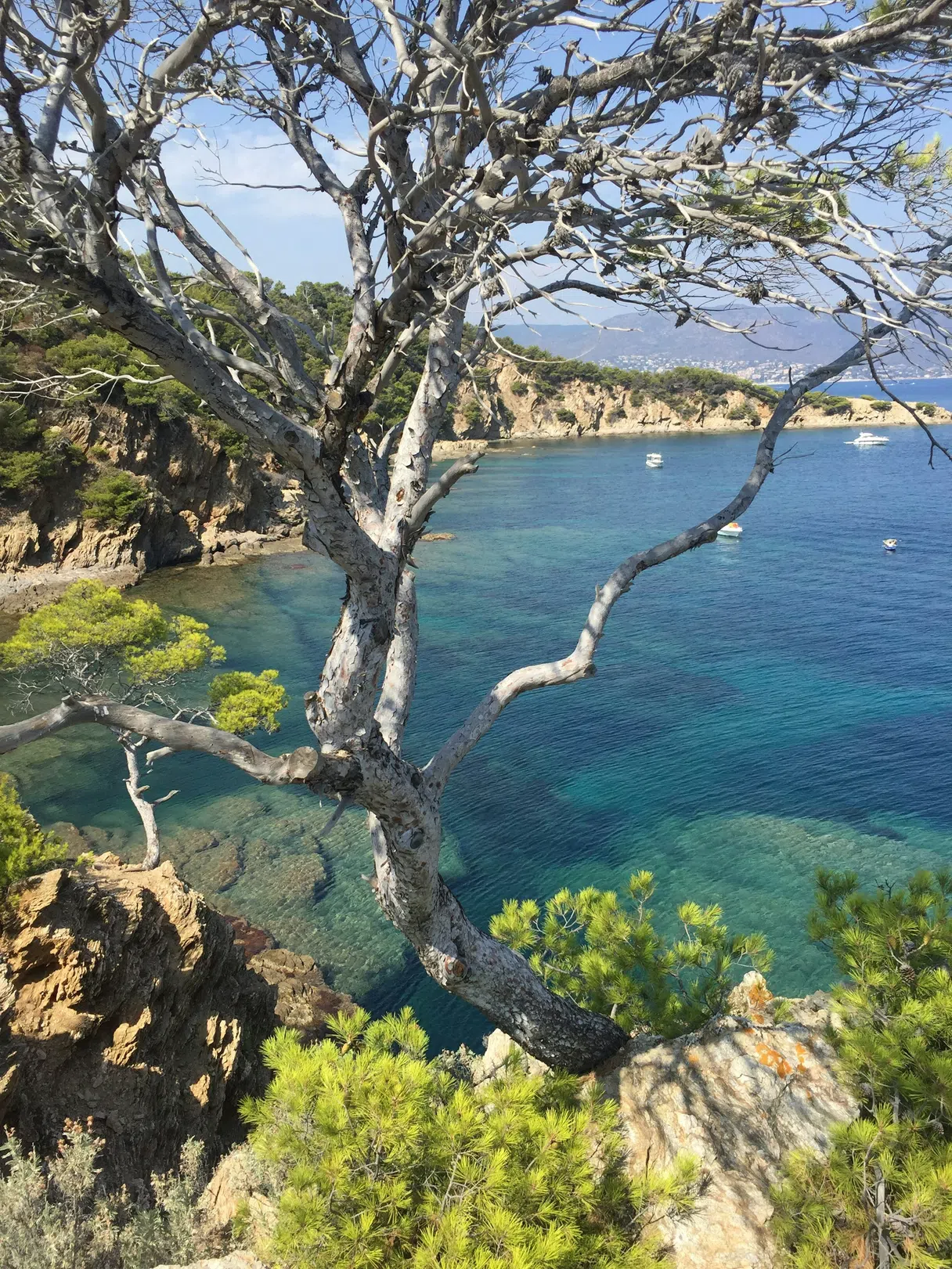 Eau turquoise et crique rocheuse près de Bormes-les-Mimosas