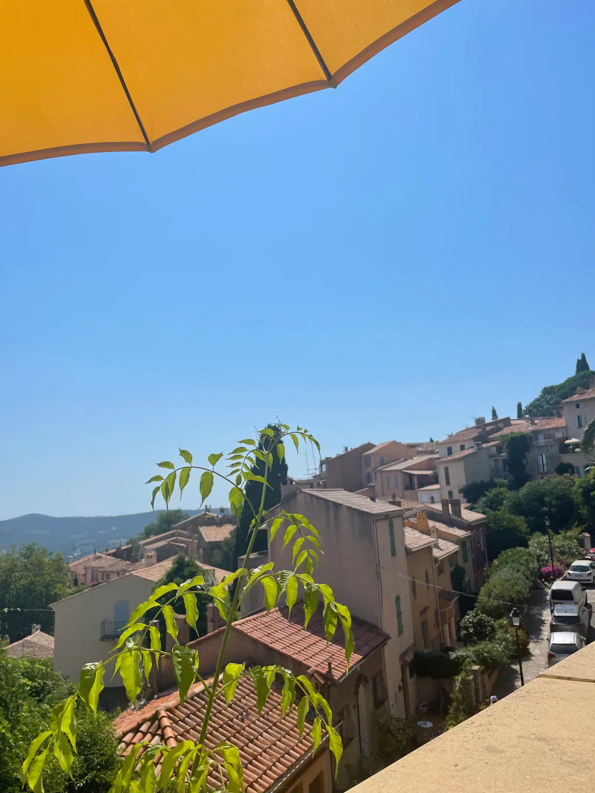 Photo artistique Bormes-les-mimosas