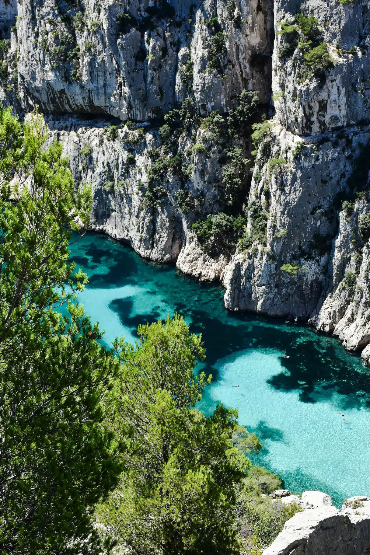 从上方山丘俯瞰昂沃卡朗格(Calanque d'En-Vau)