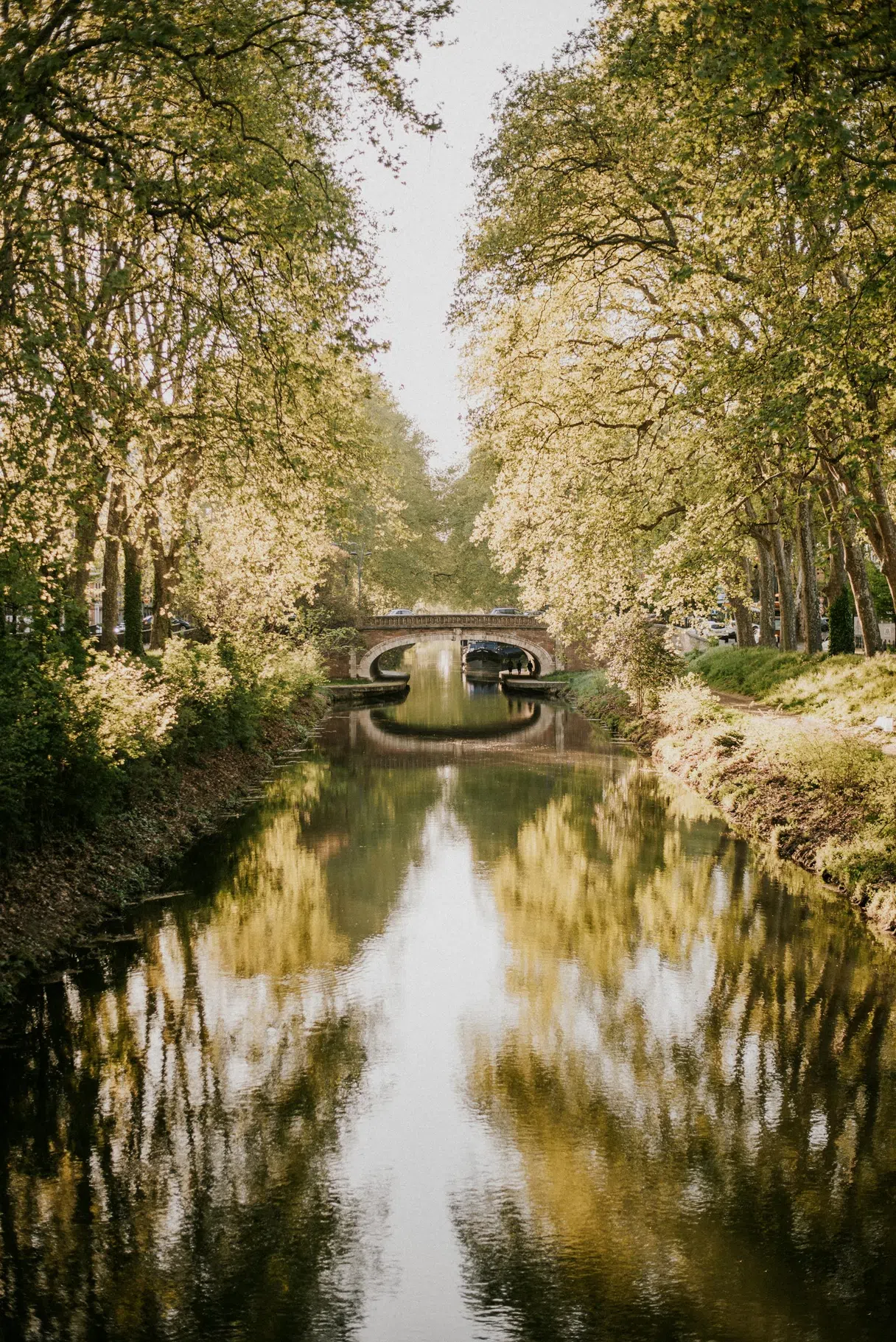 The Canal du Midi in Toulouse in soft light