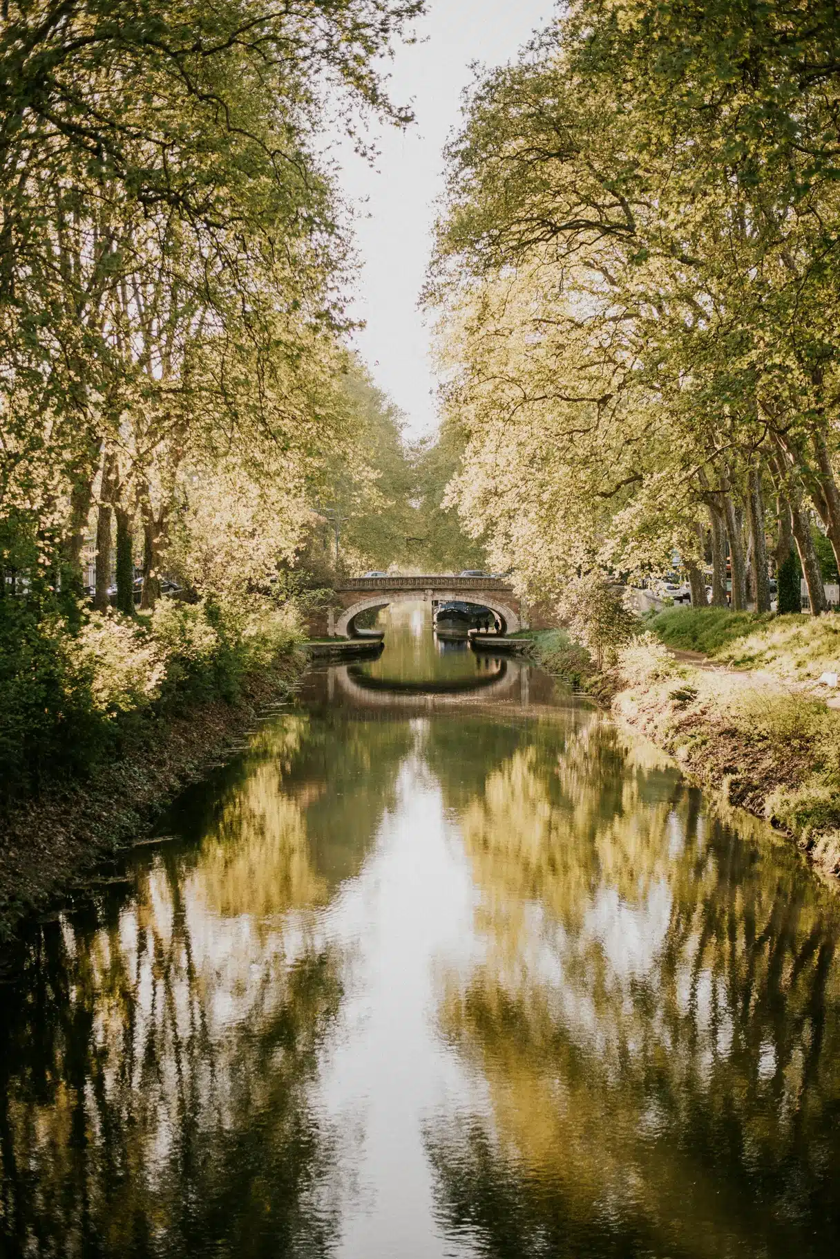 The Canal du Midi in Toulouse in soft light