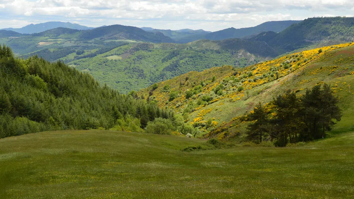Cévennes bölgesinde viyadükten geçen tren