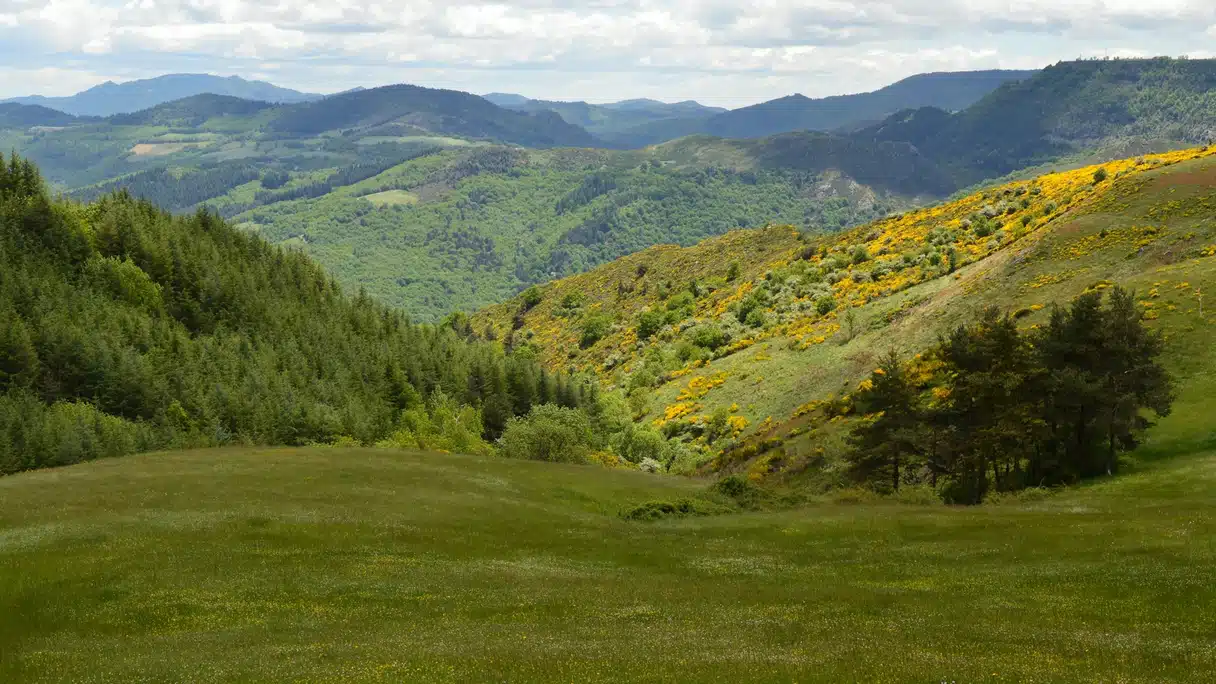 Paysage des Cévennes vu depuis le Train à Vapeur