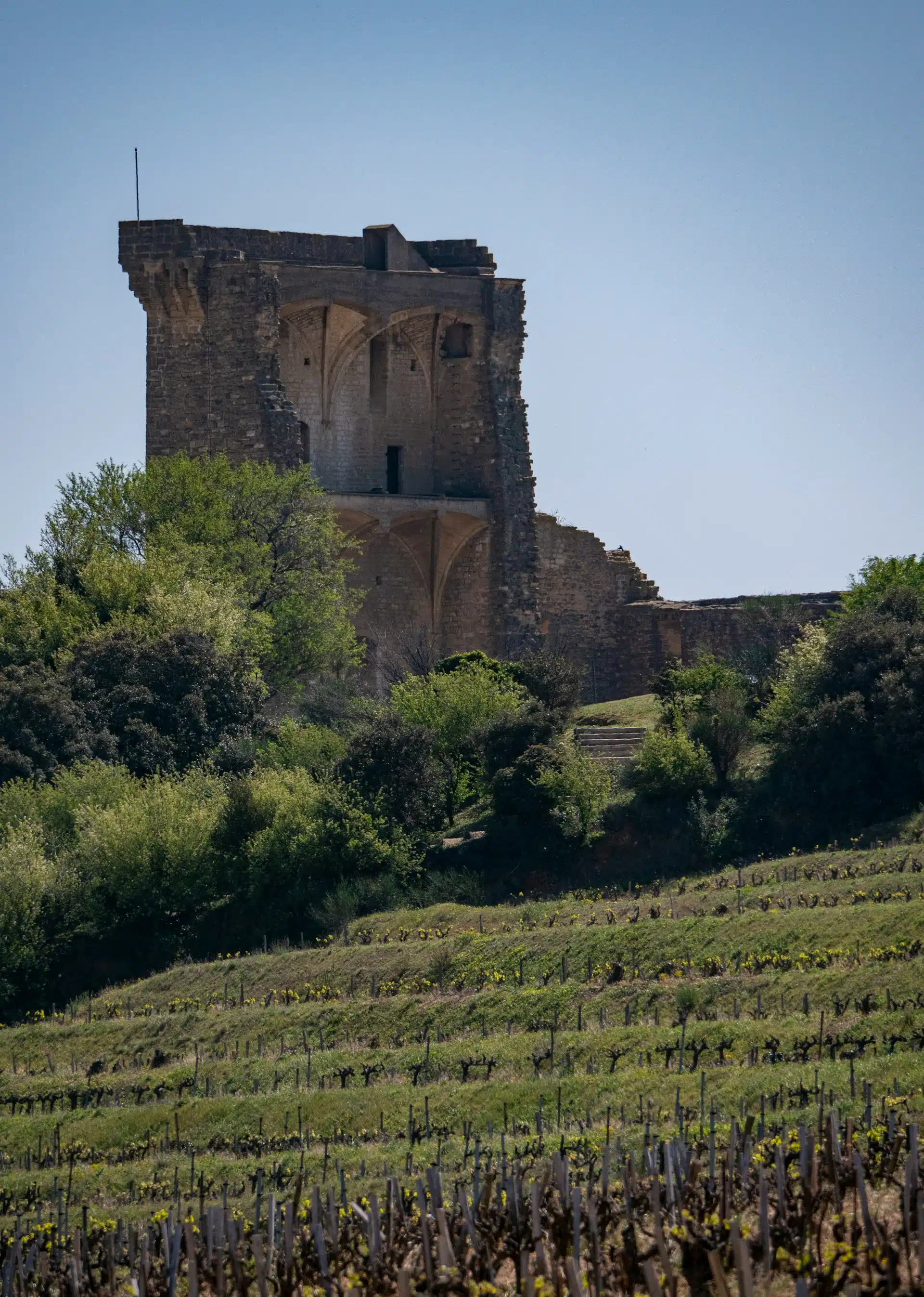 The ruined papal keep above the vineyards of Châteauneuf-du-Pape