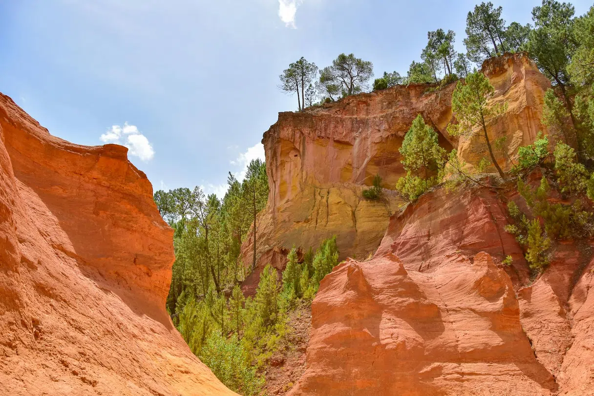 Rustrel'deki Colorado Provençal'da aşı boyası kanyon duvarları ve çam ağaçları