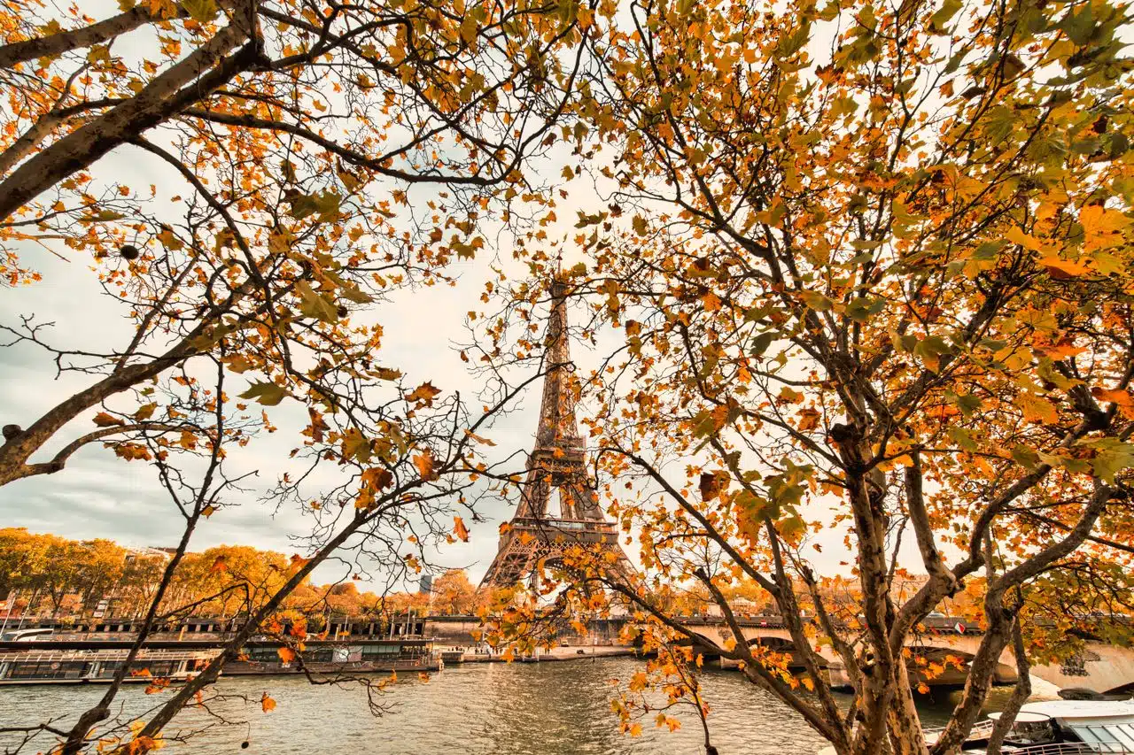 The Eiffel Tower seen across the Seine through the orange autumn leaves of a tree, Paris in October
