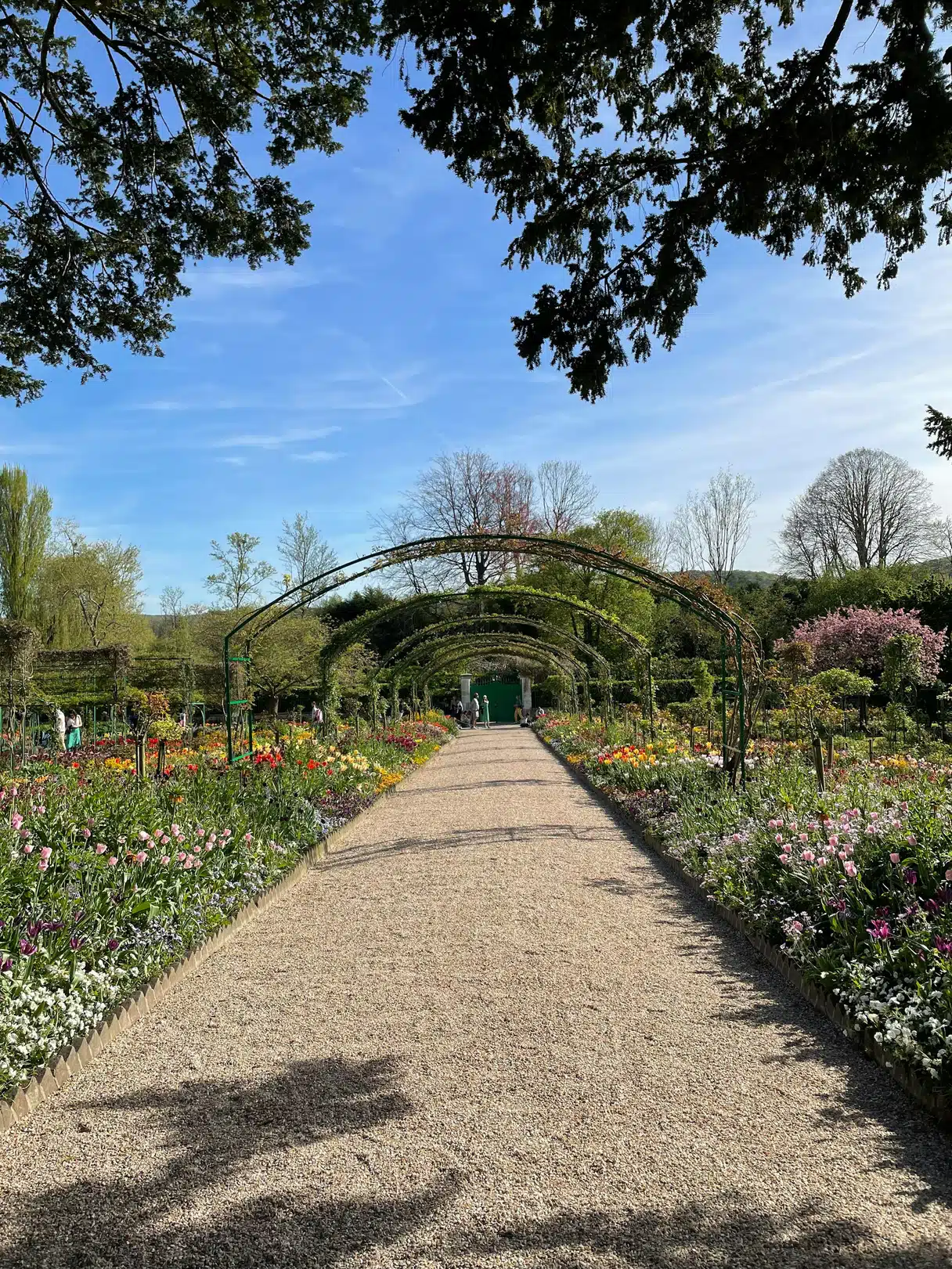 The Grande Allée of Monet's garden in Giverny, a gravel path under green iron arches lined with beds of tulips and spring flowers