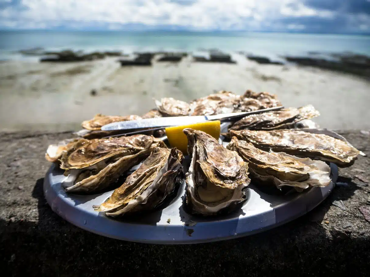 A platter of freshly opened oysters with a lemon wedge and an oyster knife, in front of oyster beds at low tide