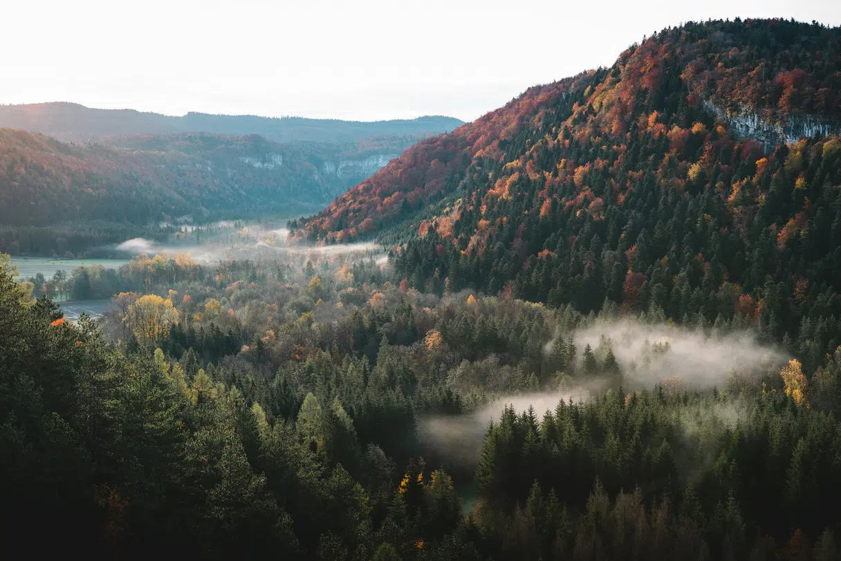 A misty Jura valley with trees and rolling hills