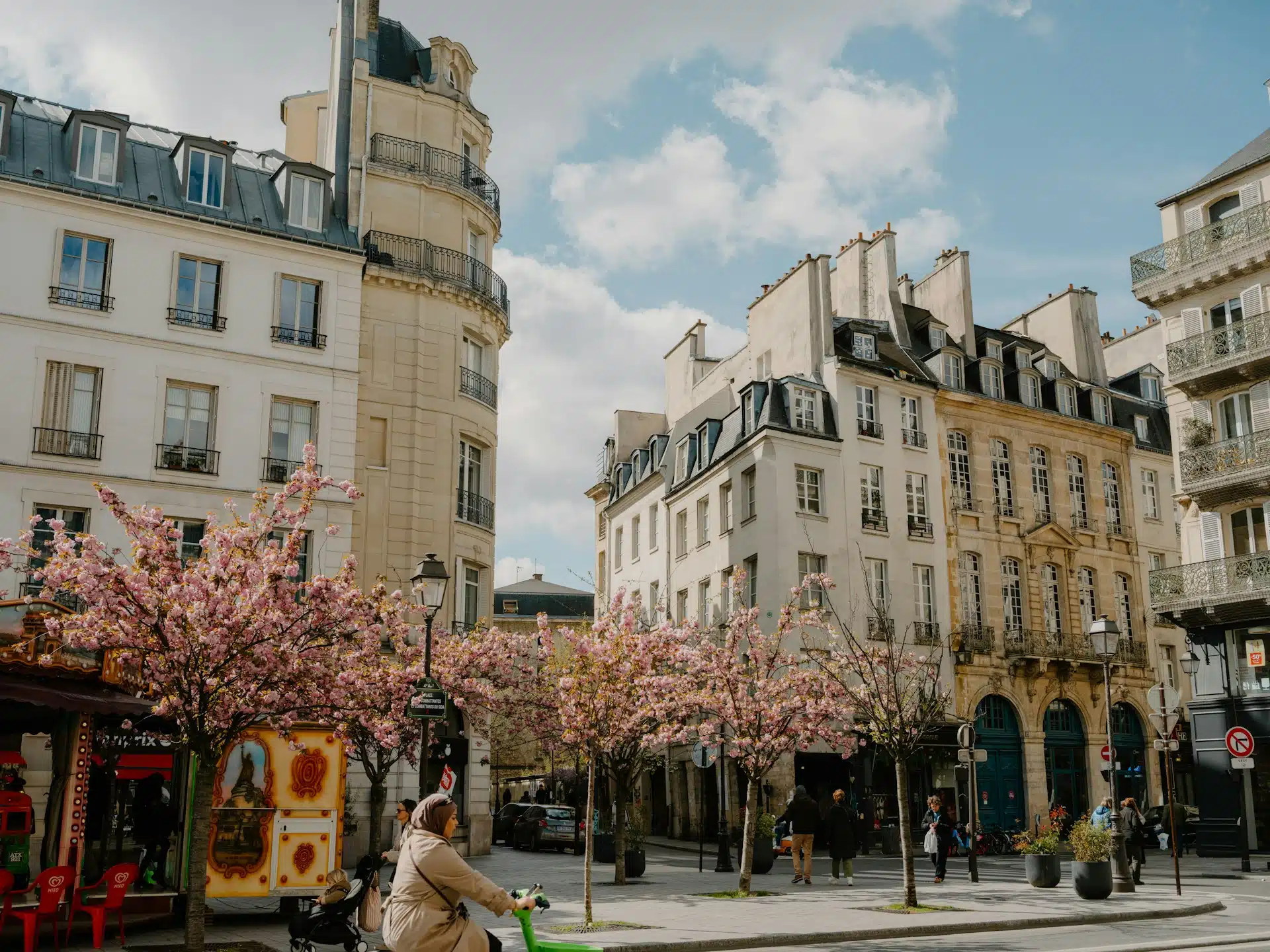 Pink cherry trees in bloom on a Paris square lined with cream stone buildings, France in spring