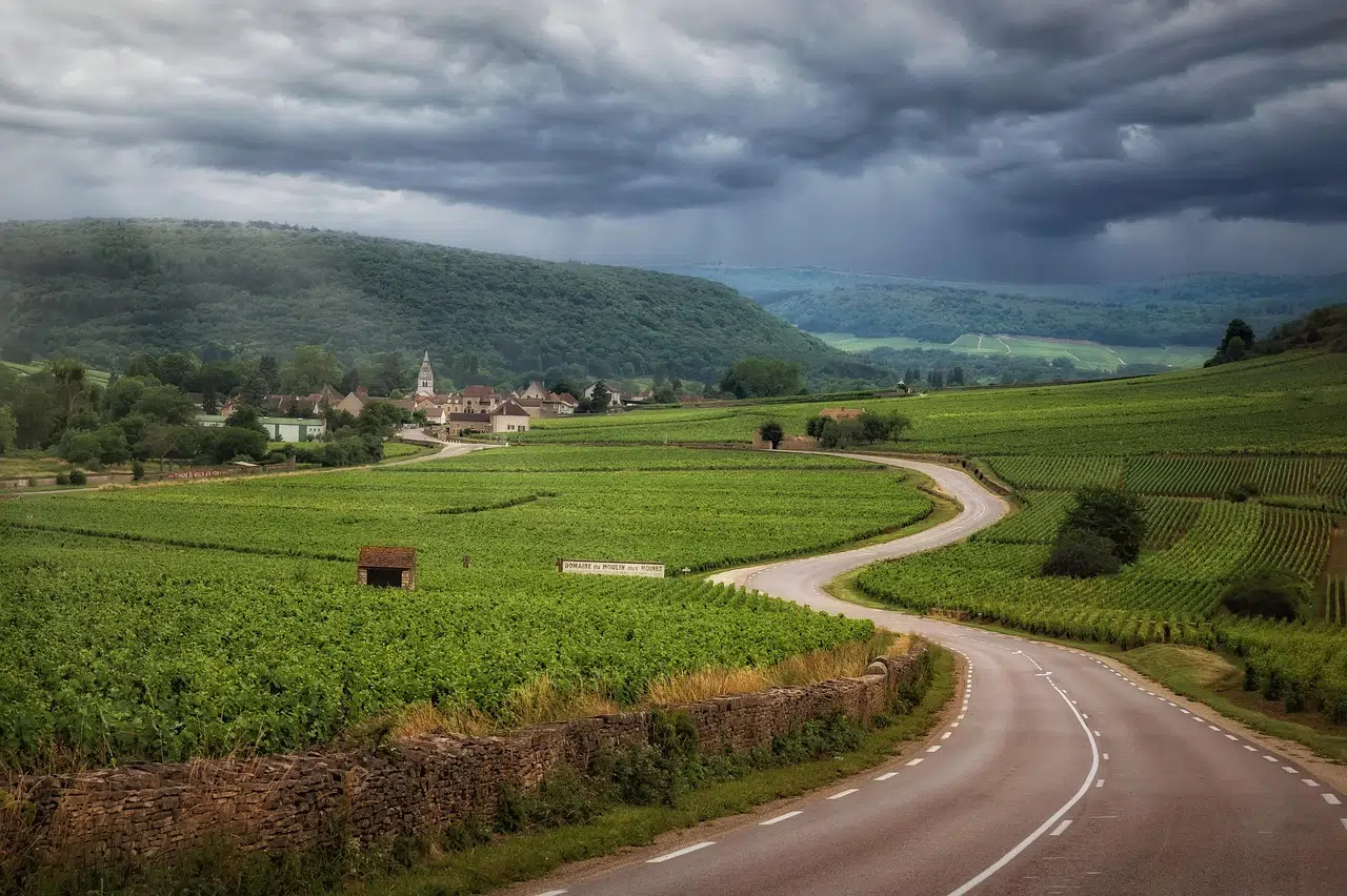 Route d'Alsace qui serpente dans les vignes