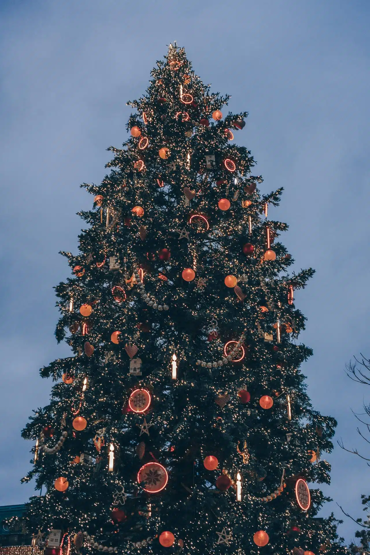 Illuminated Christmas tree in Strasbourg, Alsace, the strongest region to visit in France in winter