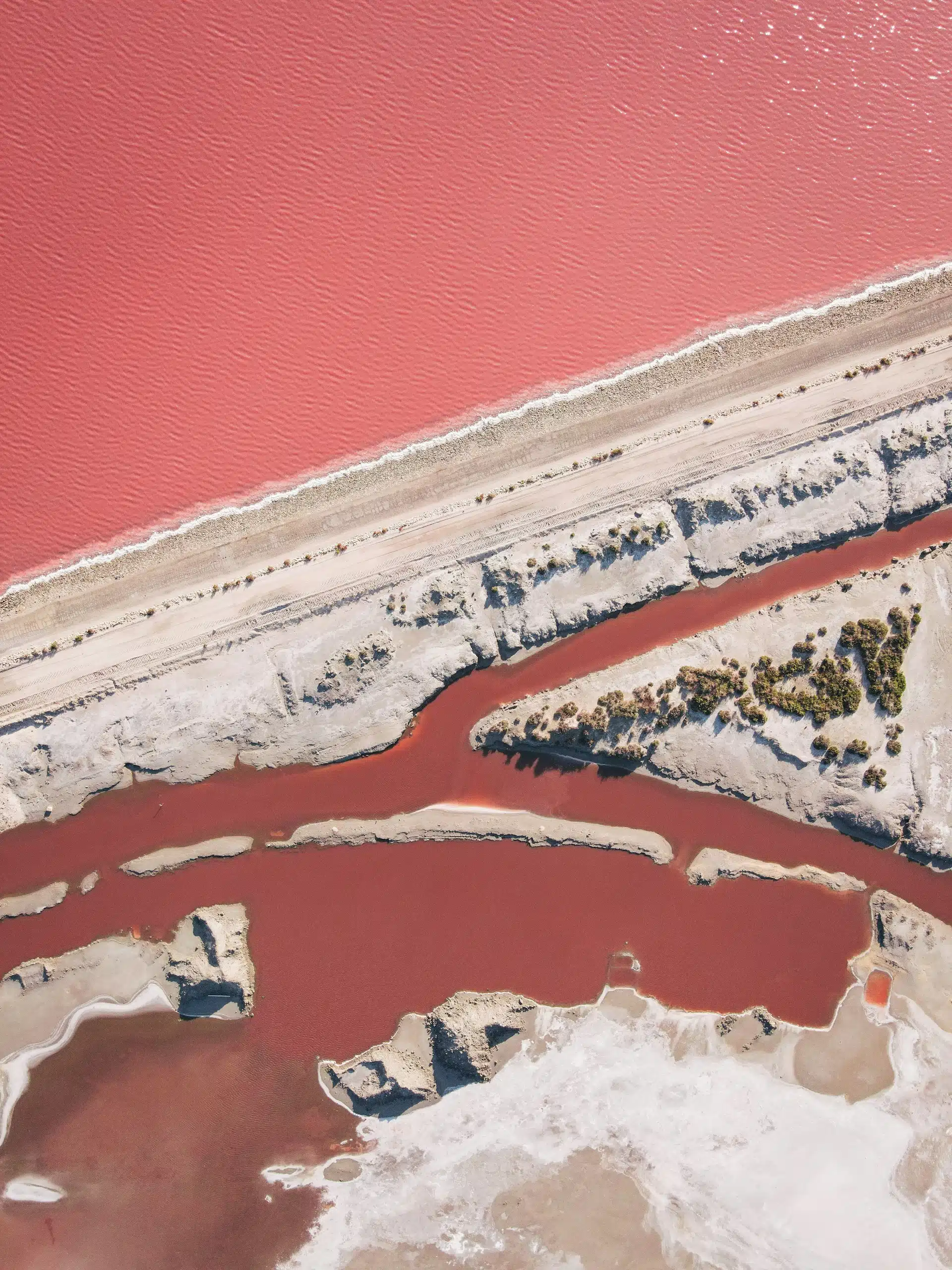 Pink water near Aigues-Mortes
