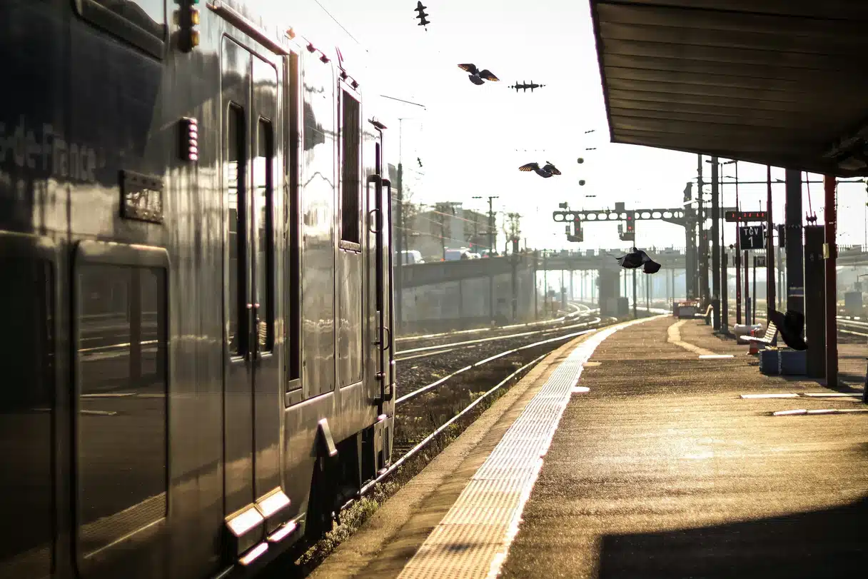 Paris'teki büyük bir tren istasyonunda hareket halindeki yolcular